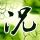 亮剑